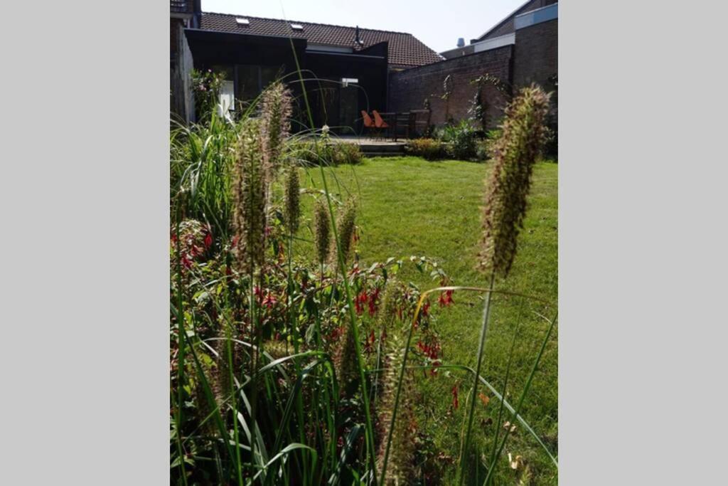 Vakantiehuis Vlakbij Het Strand En Natuur Villa Biervliet Kültér fotó
