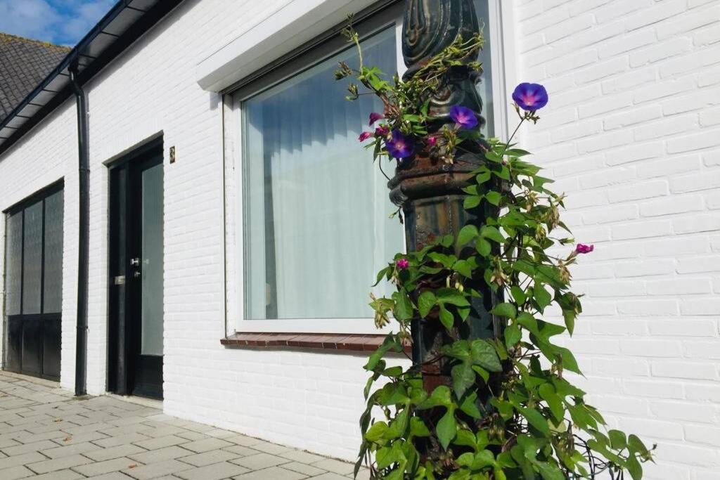 Vakantiehuis Vlakbij Het Strand En Natuur Villa Biervliet Kültér fotó