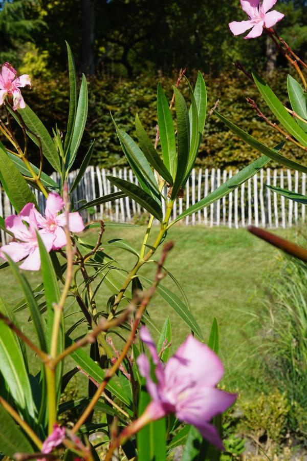 Vakantiehuis Vlakbij Het Strand En Natuur Villa Biervliet Kültér fotó