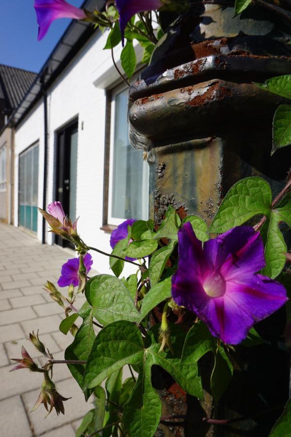 Vakantiehuis Vlakbij Het Strand En Natuur Villa Biervliet Kültér fotó